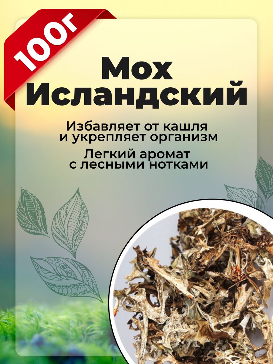 Исландский мох от кашля