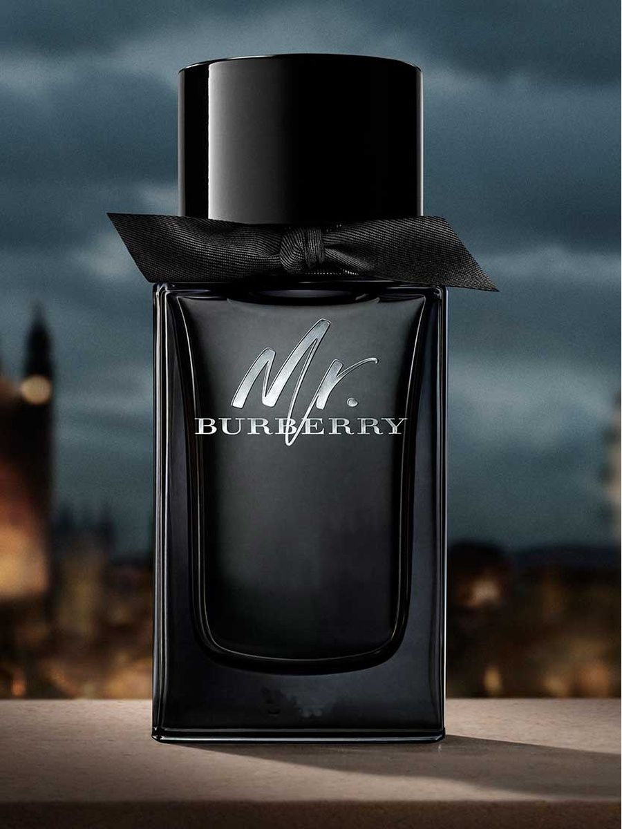 Mr burberry