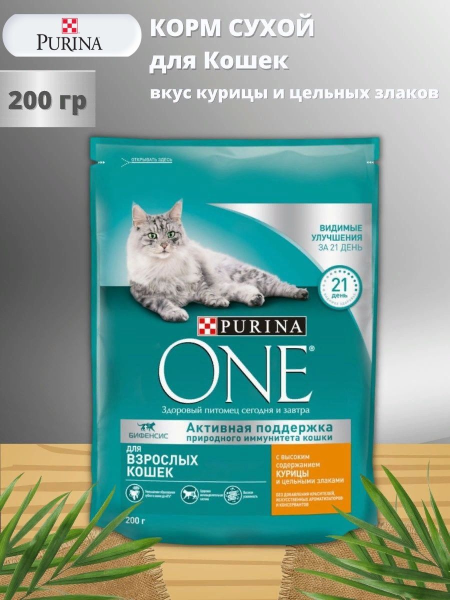 Пурина ван для кошек сухой. Purina one для взрослых кошек. Пурина сухой. Purina one для котят гранулы. Корма марки Пурина.