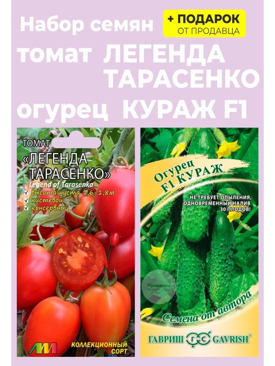 томат легенда тарасенко отзывы фото урожайность характеристика