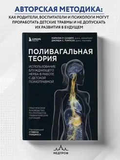 Поливагальная теория использование блуждающего нерва