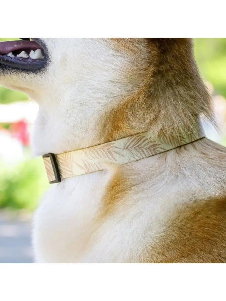 Шлейка для собак - визуализация продукции для сайта