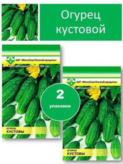 Какие огурцы кустовые