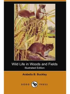 Wild Life in Woods and Fields (Illust