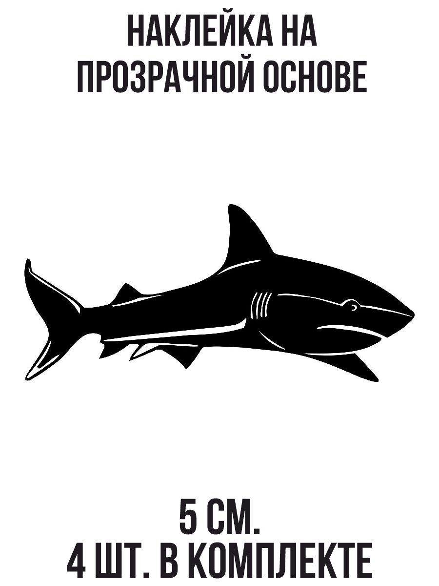 Чёрная акула рыба