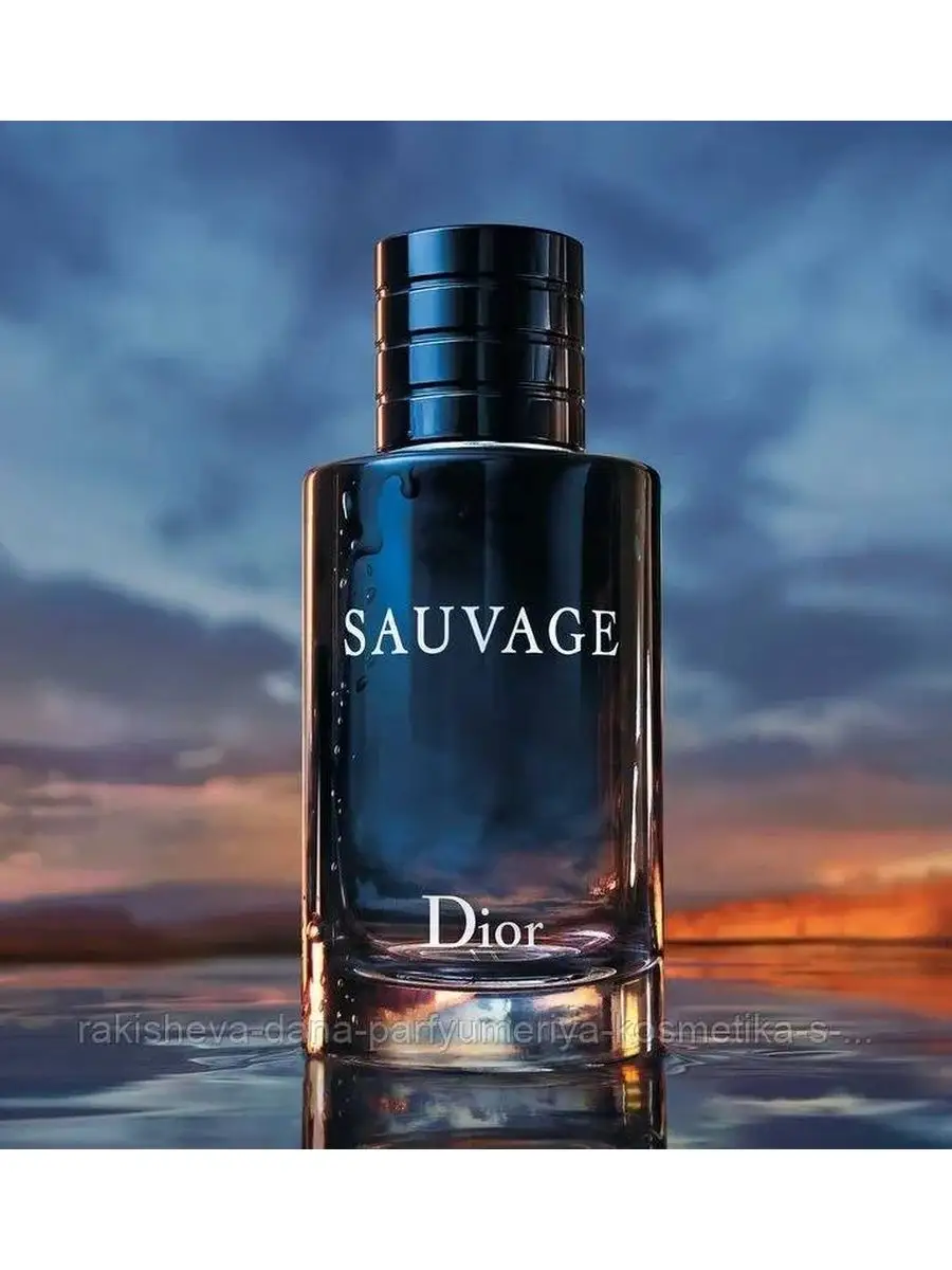 Парфюм аромат Christian Dior Balade Sauvage унисекс 100 оригинал   купить духи туалетную и парфюмерную воду по выгодной цене в  интернетмагазине парфюмерии ParfumPlusru