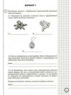 Впр химия 9 класс вариант 2 внимательно рассмотрите предложенные рисунки