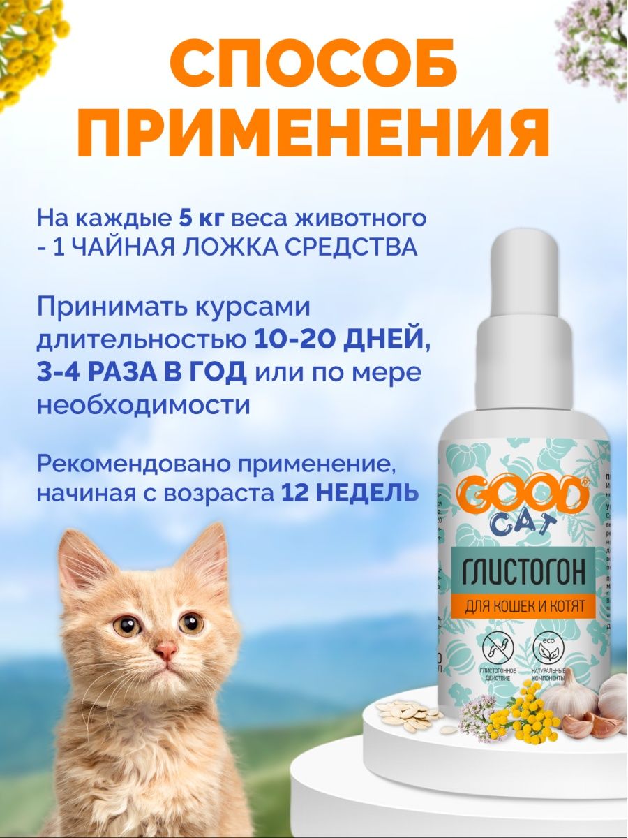 Глистогон для котят