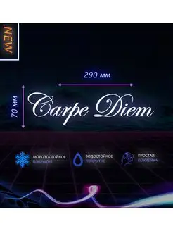 Наклейка на авто машину аксессуары знак Carpe Diem