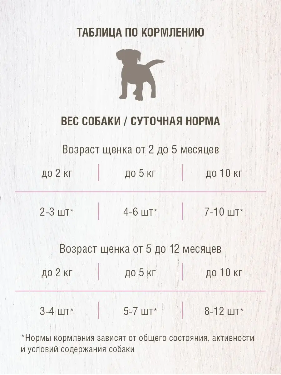 Собаки Байкальского региона