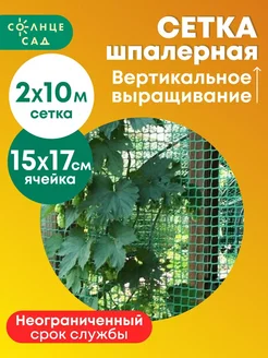 Сетка шпалерная для огурцов 2х10м