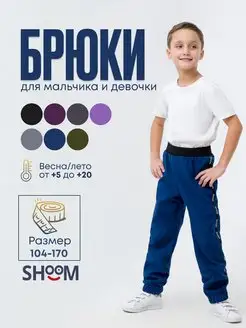 Брюки утепленные софтшелл