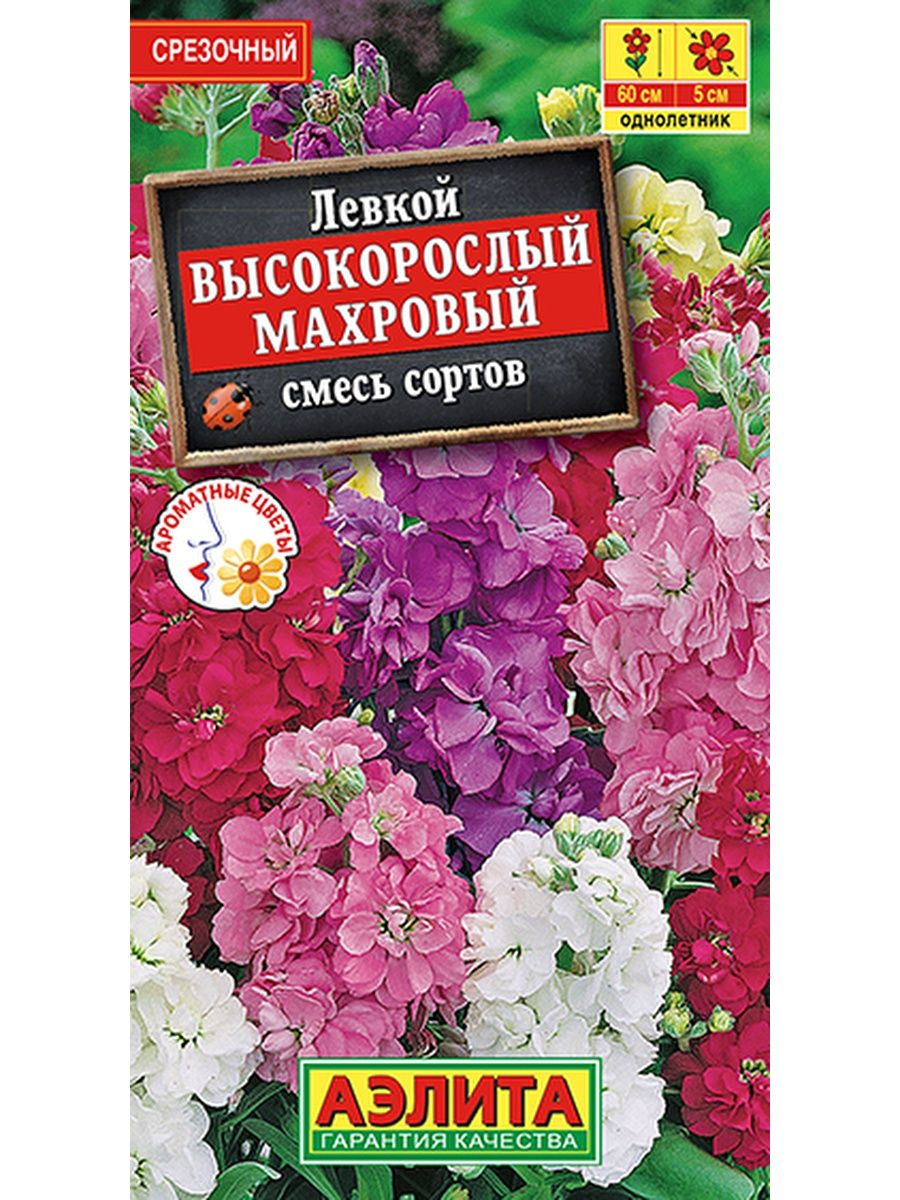 Левкой махровый смесь фото