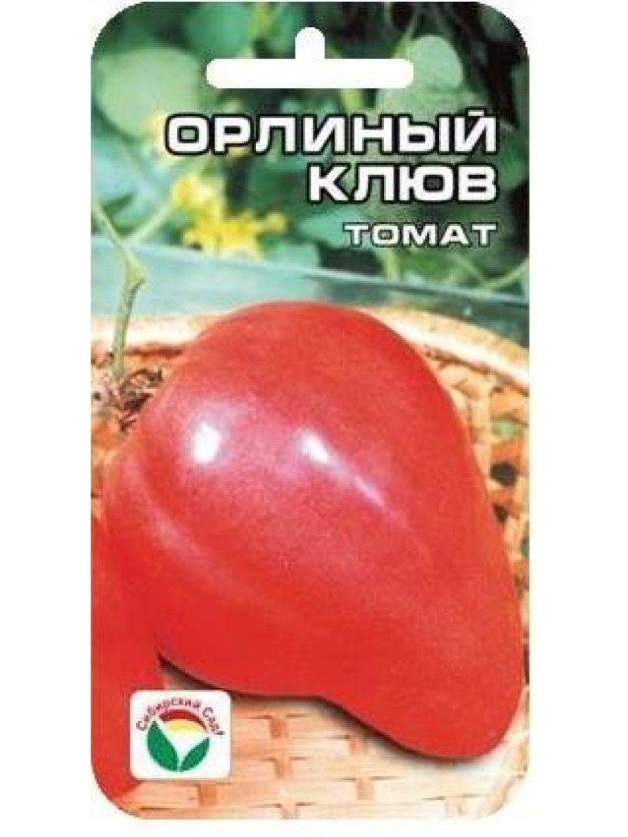 Томаты орлиный клюв фото