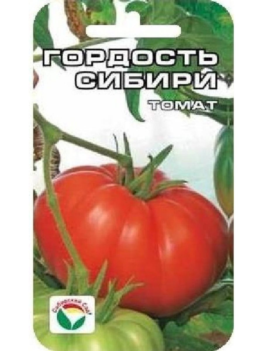 Сорт томатов гордость сибири описание. Сибирский сад гордость Сибири. Томат гордость Сибири Сибирский сад. Томаты сибирской селекции. Помидоры гордость застолья.