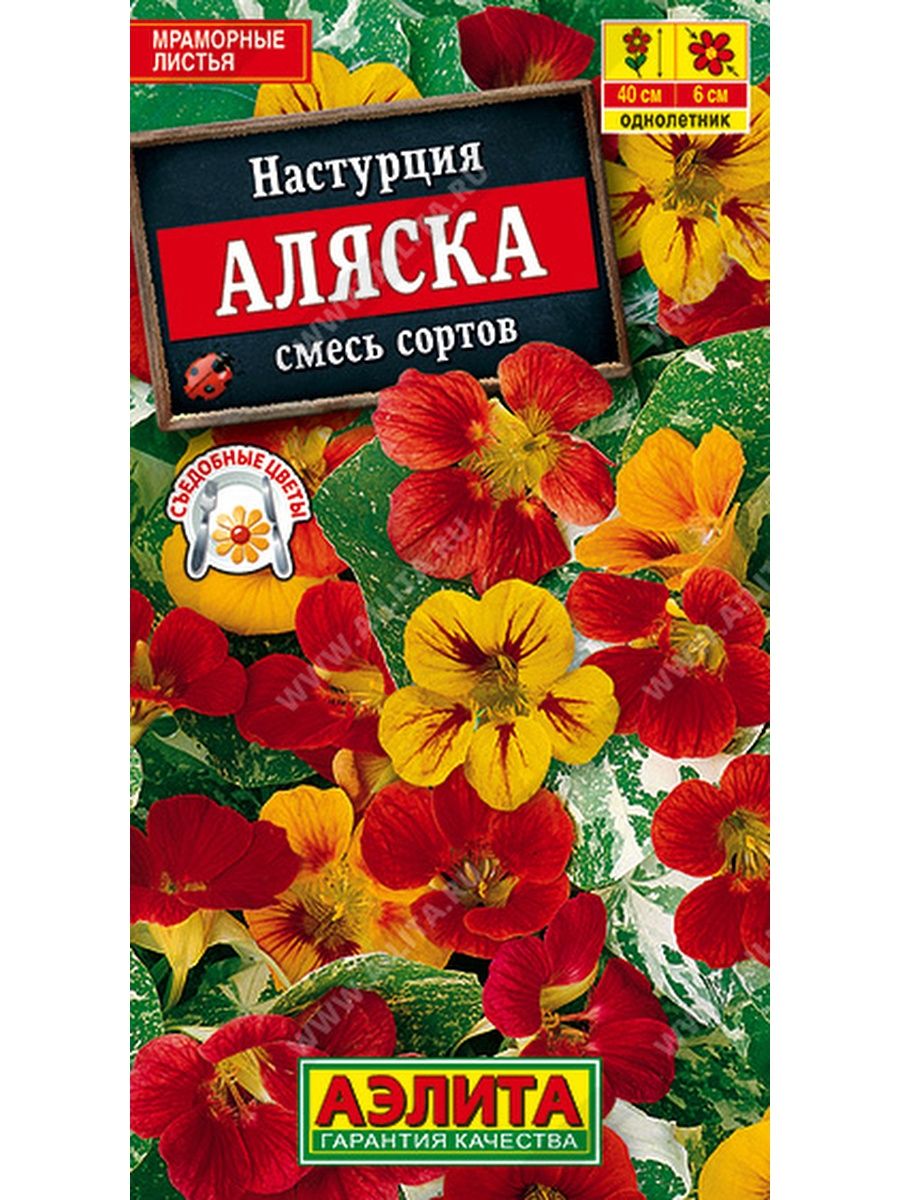 Настурция Аэлита сорта