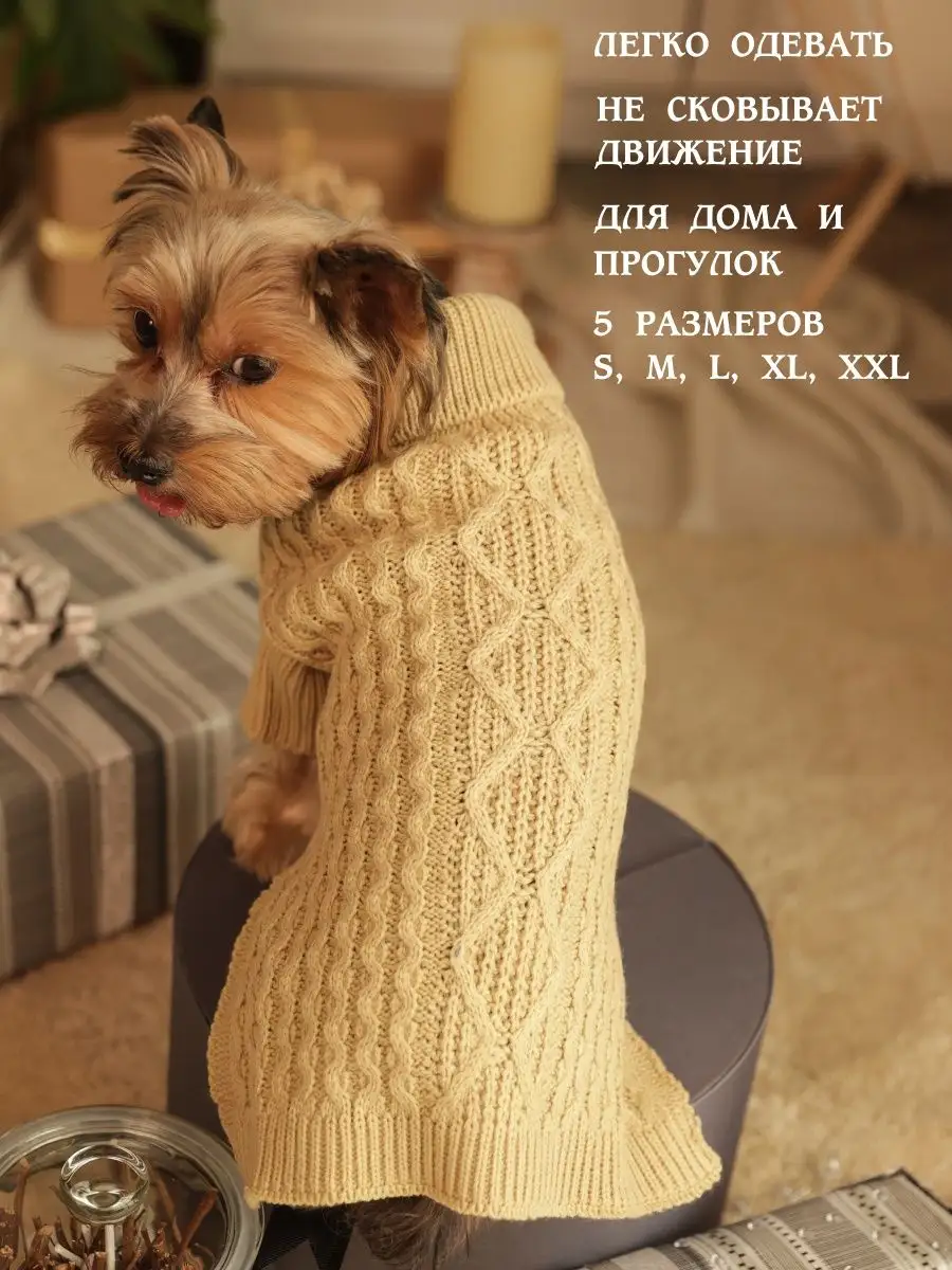 Вязаная одежда для собак спицами: схемы для начинающих