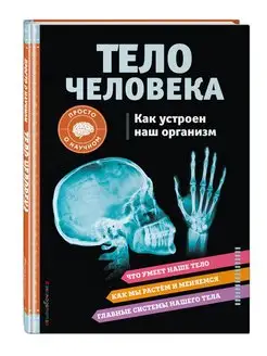 ТЕЛО ЧЕЛОВЕКА. Как устроен наш организм