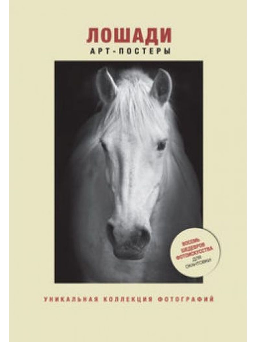 Купить книгу лошади. Книги про лошадей. Постер лошадь. Плакаты с лошадьми. Постер книга лошади.