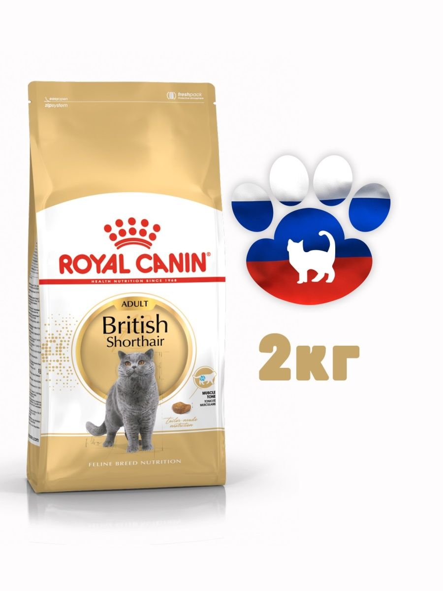 Royal canin british shorthair