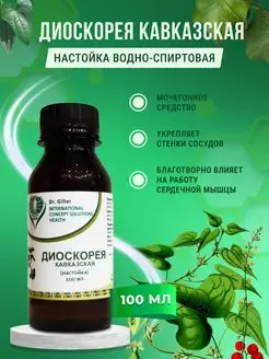 Диоскорея кавказская настойка