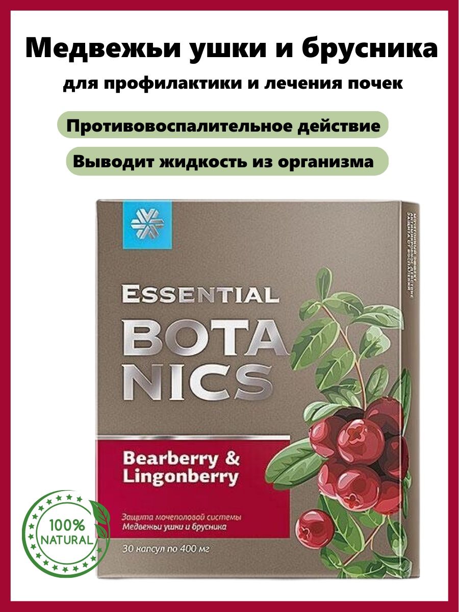 Медвежьи ушки и брусника essential