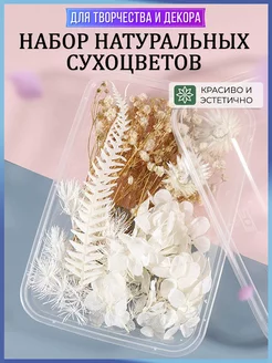 Набор сухоцветов для декора и творчества