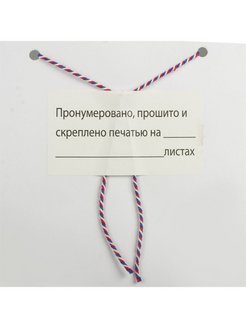 В данном журнале прошнуровано пронумеровано и скреплено печатью образец