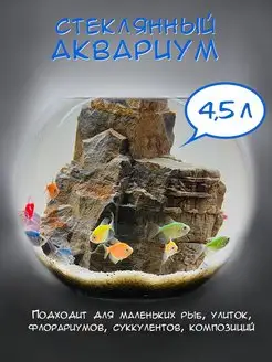 Аквариум круглый 4.5 л стекло