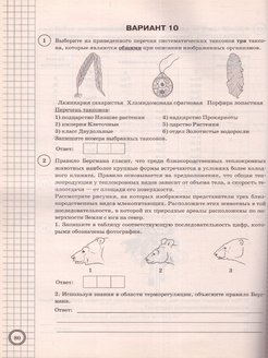 Образец впр по биологии 11 класс