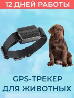 Универсальный GPS трекер для животных 935