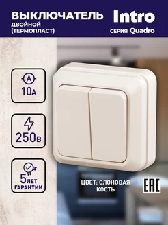 Выключатель двухклавишный Quadro 250В