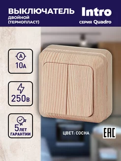 Выключатель двухклавишный Quadro 250В