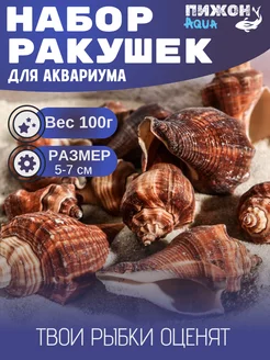 Набор ракушек для аквариума 5-7см 100г