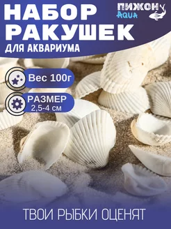 Набор ракушек для аквариума, 2 - 3,5 см, 100г