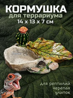 Кормушка для рептилий, черепах, улиток