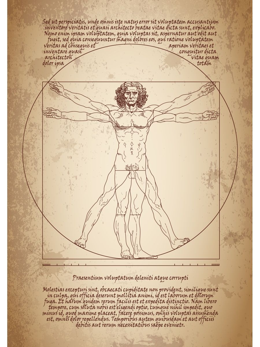 Витрувианский человек автор картины