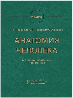 Анатомия человека. Учебник. Привес М.Г. и др