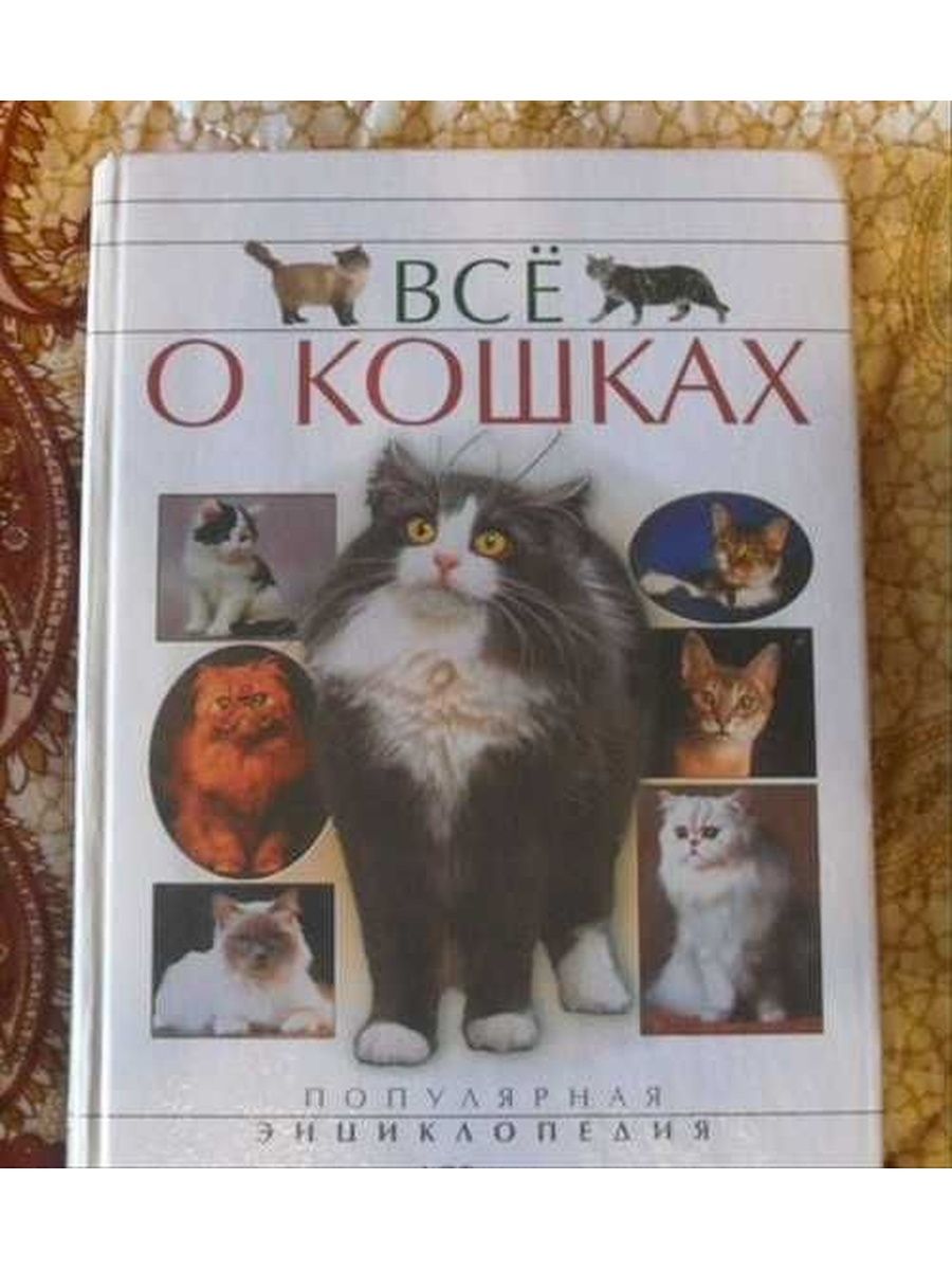 Все о кошках. Энциклопедия все о кошках. Большие книги про породах кошек. Все обложки книг про кошку. Книга популярная энциклопедия все о кошках.