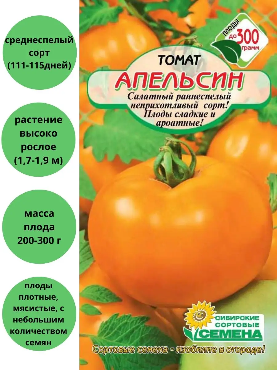 Томат Апельсин Сибирские сортовые семена 124874028 купить за 129 ₽ винтернет-магазине Wildberries