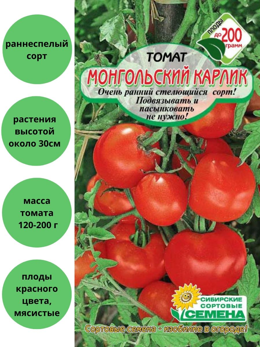 Партнер томат Монгол карлик
