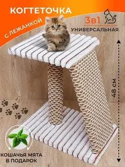 Когтеточка для кошки с мятой