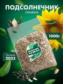 Семечки подсолнечника сырые очищенные 1000 г