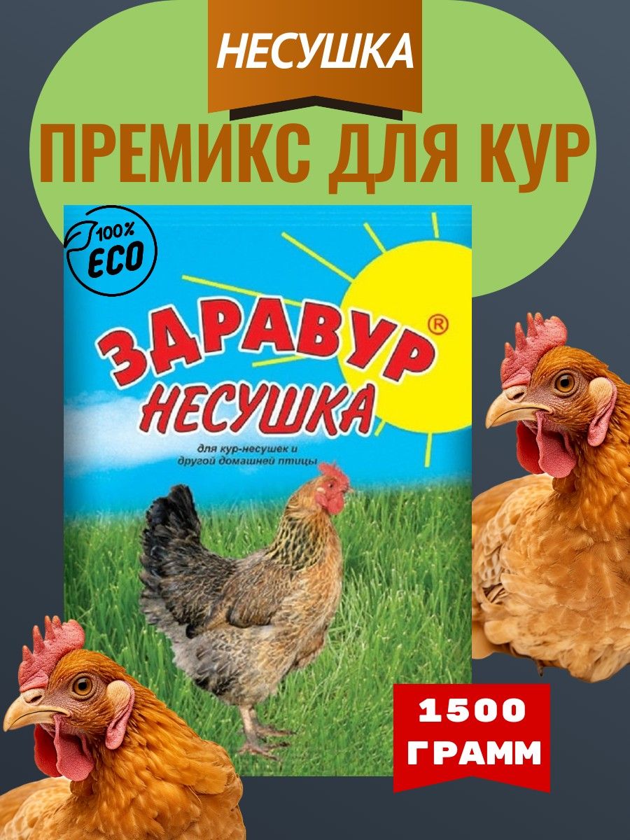 Премикс для кур несушек