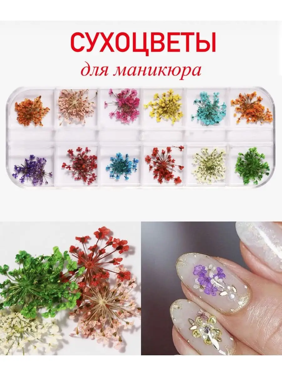 Сухоцветы для дизайна ногтей в баночках, 12 шт.