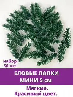 Еловые лапки и ветки для новогоднего декора и дома