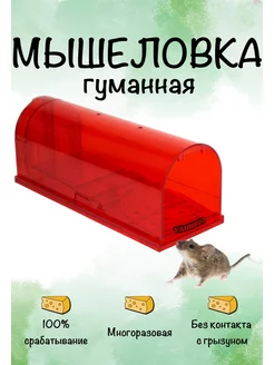 Мышеловка для мышей гуманная