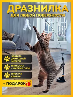 Игрушка для кошек и котят дразнилка интерактивная