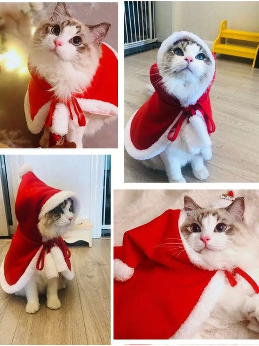 костюм кота на новый год