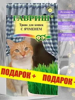 Трава для кошек